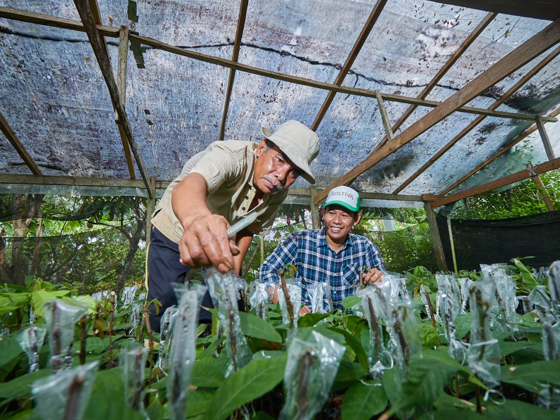 Empower the Future of Sustainable <span class='green-text'>Agriculture with Koltiva</span>